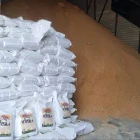 دان مرغ و بلدرچین