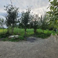 زمین-مسکونی-سند-دار