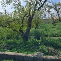 ۵۰۰متر۴دیواری اماده ساخت دسترسی عالی  اسفنداباد