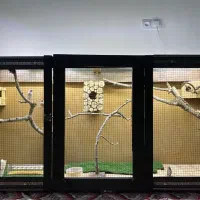 ساخت انواع قفس و لانه چوبی
