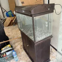 اکواریوم