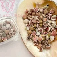 صدفای ریز