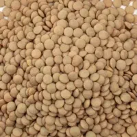 عدس مختار محلی