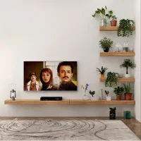 شلف تی وی