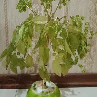گلدان تزئینی مصنوعی