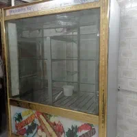 یخچال ویترینی
