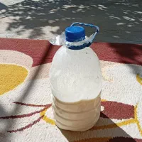 دوغ تازه گاو غلیظ فقط کیلویی۴۵