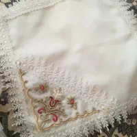 همه‌نوهستند