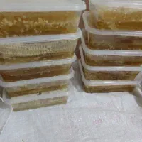 عسل درجه یک پادنا