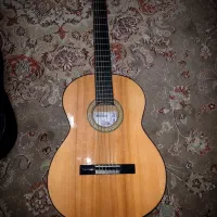 گیتار.ایرانی.لوکا.نو