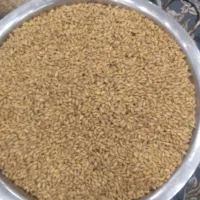 گندم|خوردنی و آشامیدنی|ایذه, |دیوار