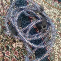 کش کشتی