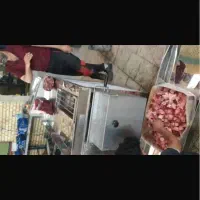 خردکن گوشت یخی