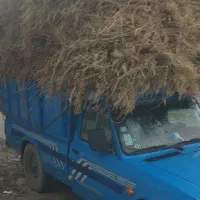 یونجه خالص آماده
