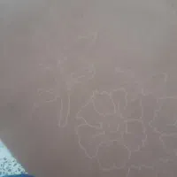 موکت