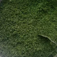 سبزی قرمه کوکو آش