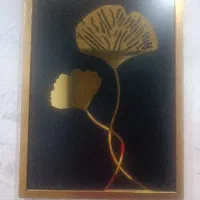 در حد نو