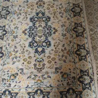 فرش ۱×۱/۵|فرش|کرمانشاه, |دیوار