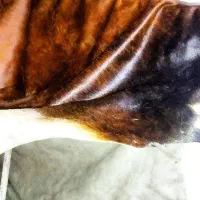پوست طبیعی چرم گاو