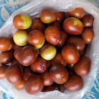 عناب تازه