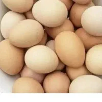 تخم مرغ رسمی سالم