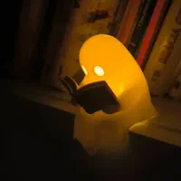 دکوری روح کتابخوان
