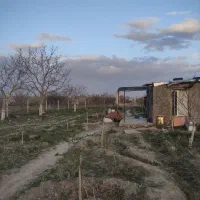 یک قطعه باغ گردو خوش آب وهوا