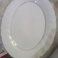 دو عدد دیس پلو خوری نو