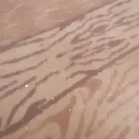 موکت