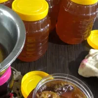 عسل نرمدار جنگل گلستان