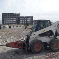 بابکت پیکوردار  با گواهینامه ویژه