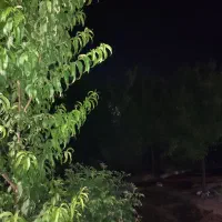 تور