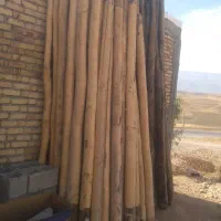 چوب
