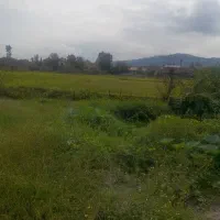 فروش زمین ۴۱۶ متری کاملا مسکونی دارای سند تک برگ