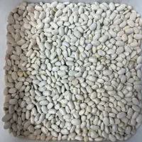 لوبیا|خوردنی و آشامیدنی|اصفهان, شاهزاده ابراهیم|دیوار