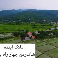 زمین-300متری-سند-دار-در-شاندرمن
