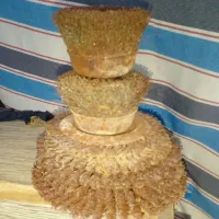 فرچه سیمی