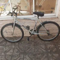 دوچرخه دماوند 26