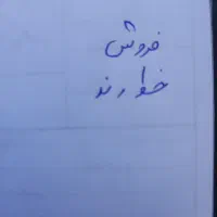 خط رند