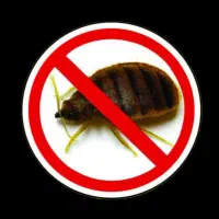 سمپاشی فوری و تضمینی ساس