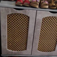 جاکفشی پتینه