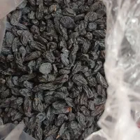 مویز