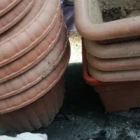 تعدادی گلدان پلاستیکی گلپونه آجری رنگ