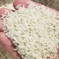 برنج طارم هاشمی درجه 1