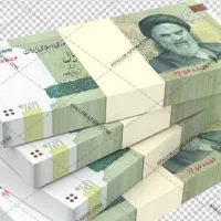 سرمایهگذاری دائمی پرسودتضمینی
