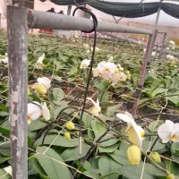 راهنمای و مشاوره رایگان