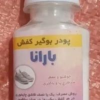 بوگیر کفش