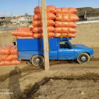 نیازمندکارگر برای پور کردن کاه روزانه یک در میان