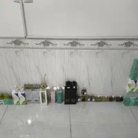 خوشبو کننده اتومبیل و محیط