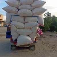کاه درجه یک تحویل تماس فقط